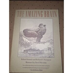 The Amazing Brain Robert Ornstein Richard Thompson David Macaulay 1986 Paperback